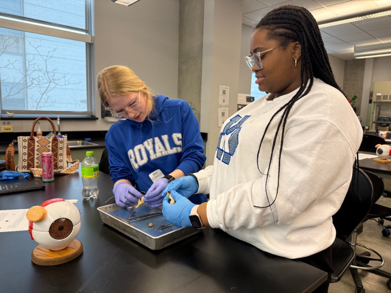 High school students do a hands-on biology activity at High School STEM+H Day event
