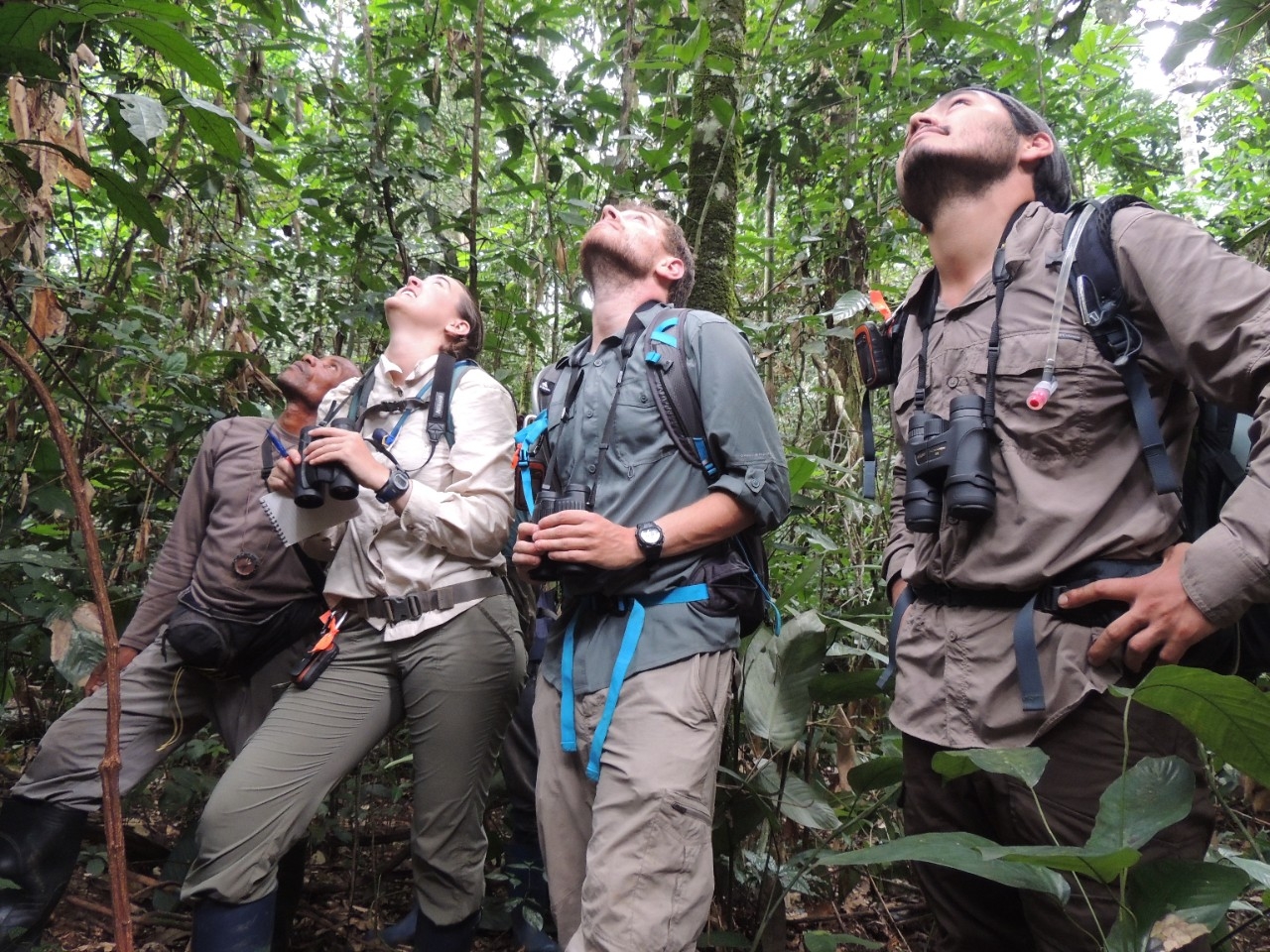 NKU Biological Sciences students doing field research, looking up into the trees.