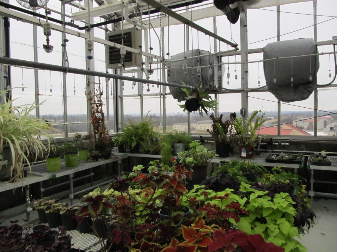 NKU Greenhouse Science Center Greenhouse