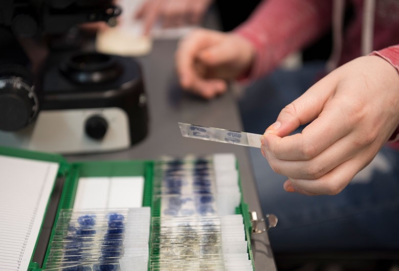 Case full of labratory samples