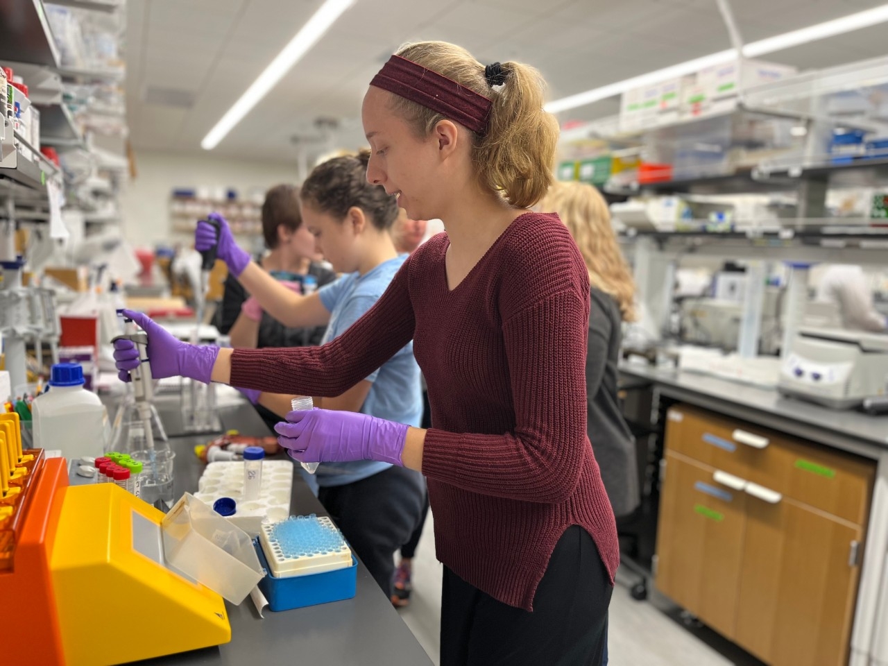 Neuroscience at Northern Kentucky University Neursocience students conducting research in the lab.