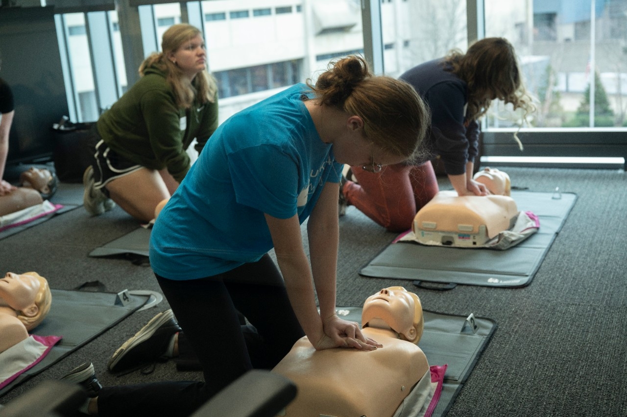 Students practicing CPR on mannikins.